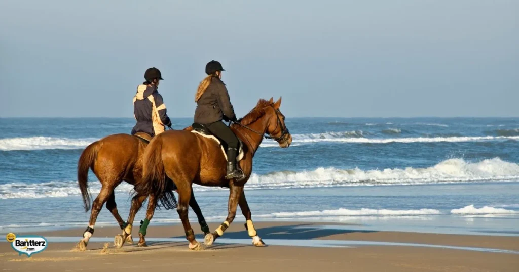 Laugh Out Loud Horse Quotes