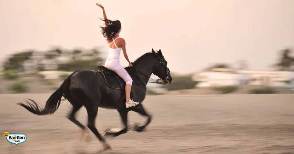 Short Horse Puns Oneliners