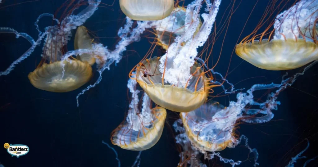 Short Tentacle One Liners