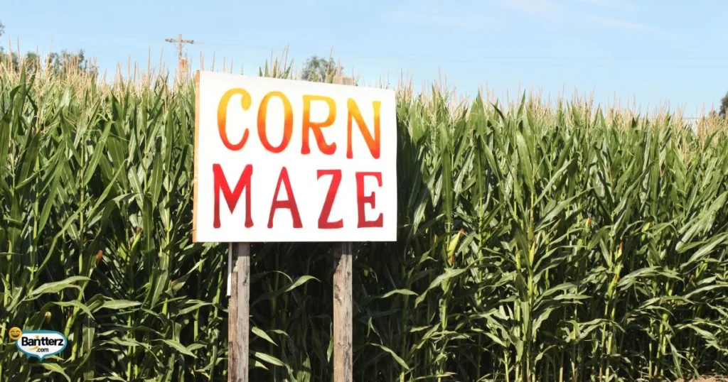 Silly Corn Themed Puns List