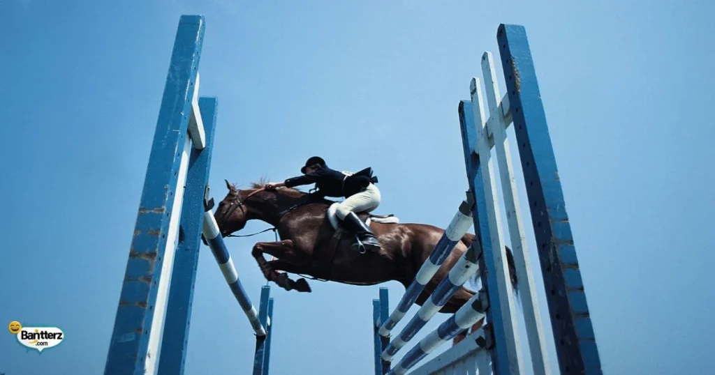 Silly Pony Puns And Jokes