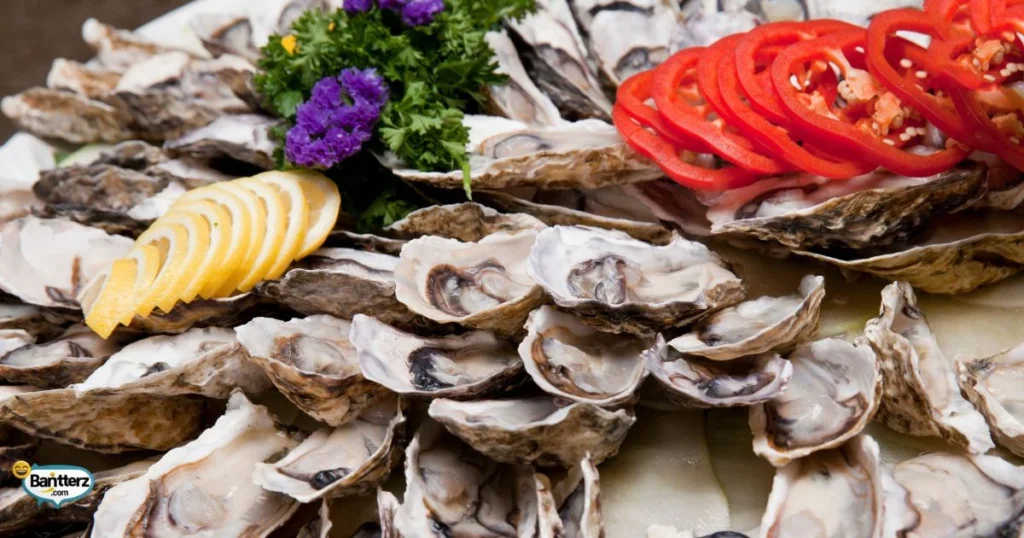 Quick Oyster Giggles