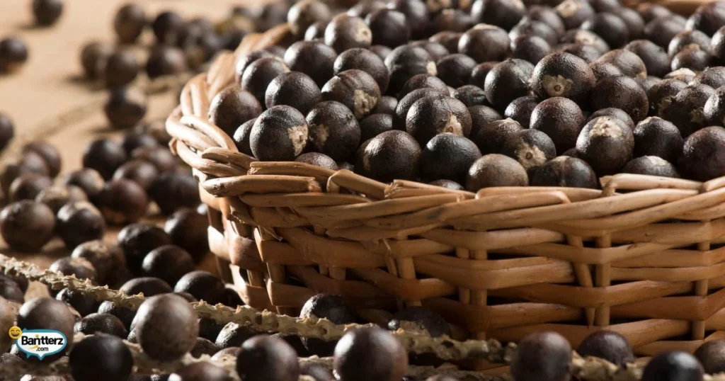 Short Berry Wordplay