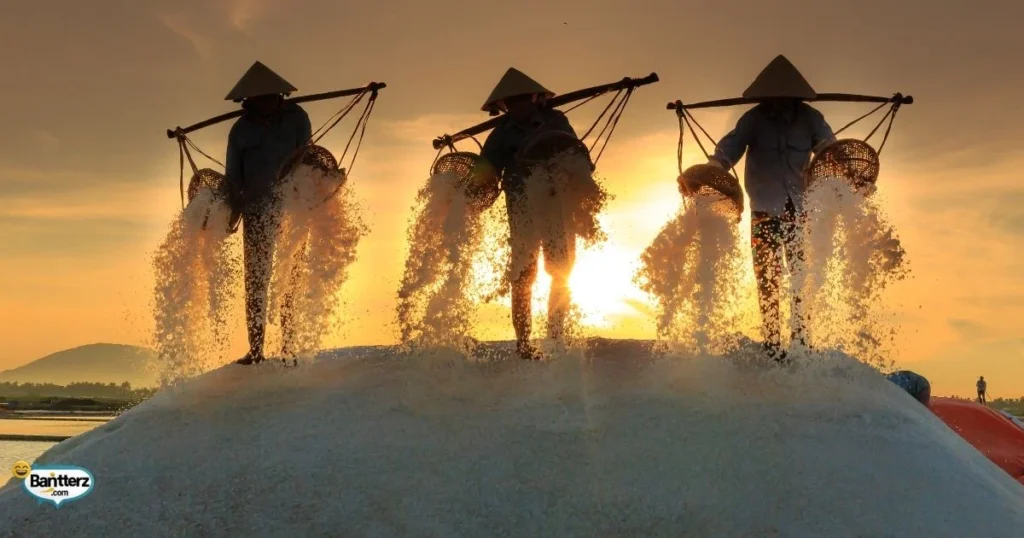 Creative Salt Pun Collection