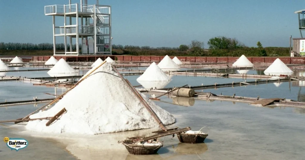 Final Five Bonus Salt Puns