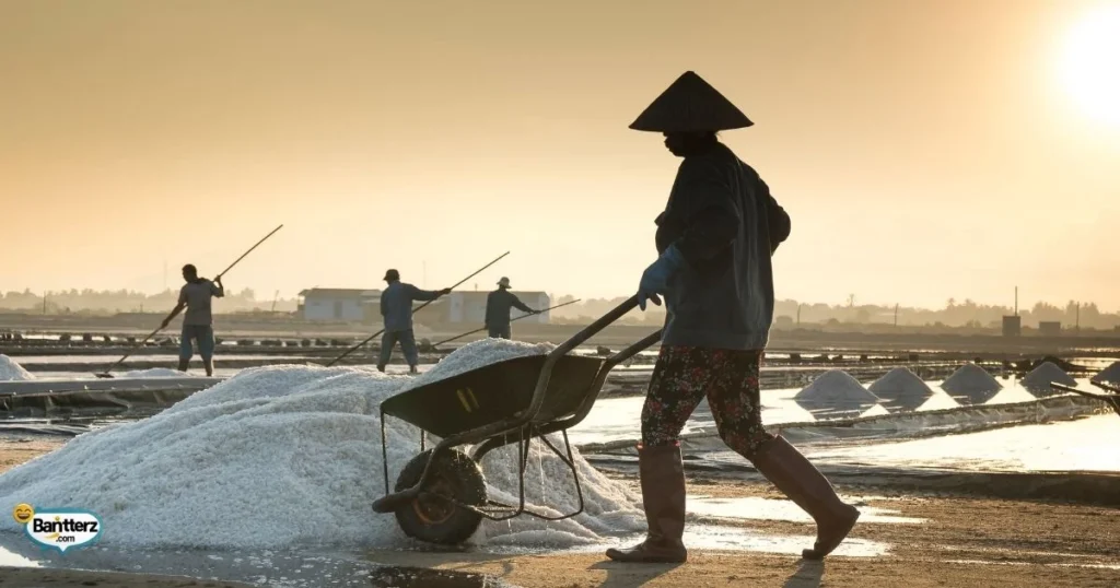 Funny Salt Jokes For Kids