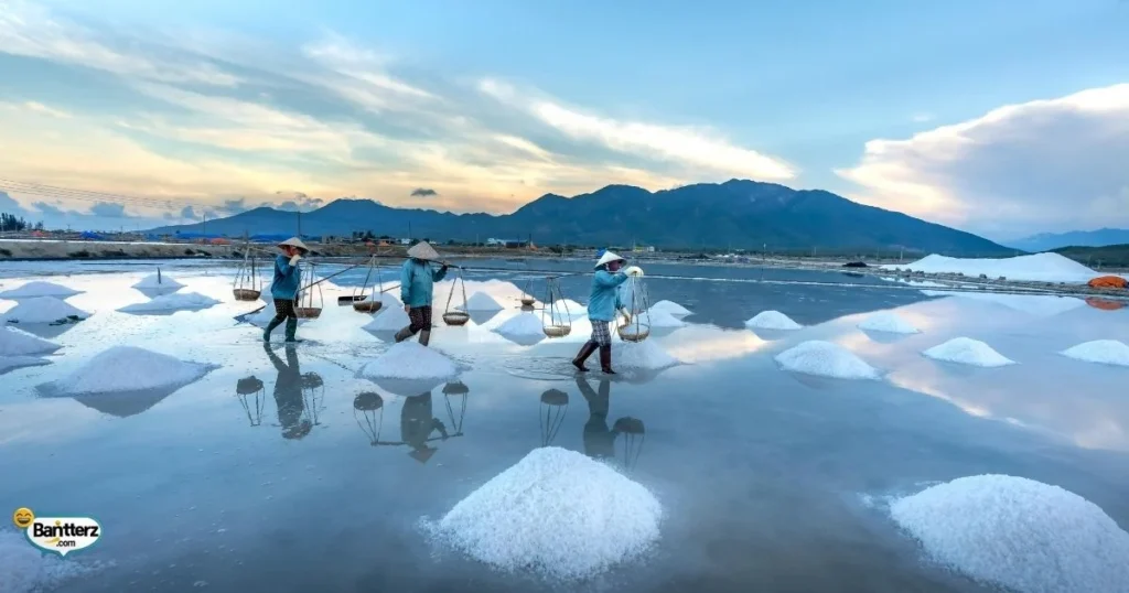 Seasoning Your Conversations With Salt Puns