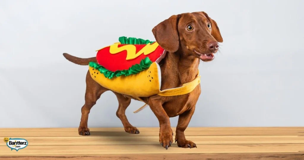 Flirty Hot Dog Jokes