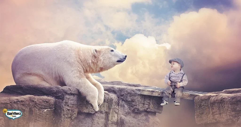 Polar Bear Joke Captions