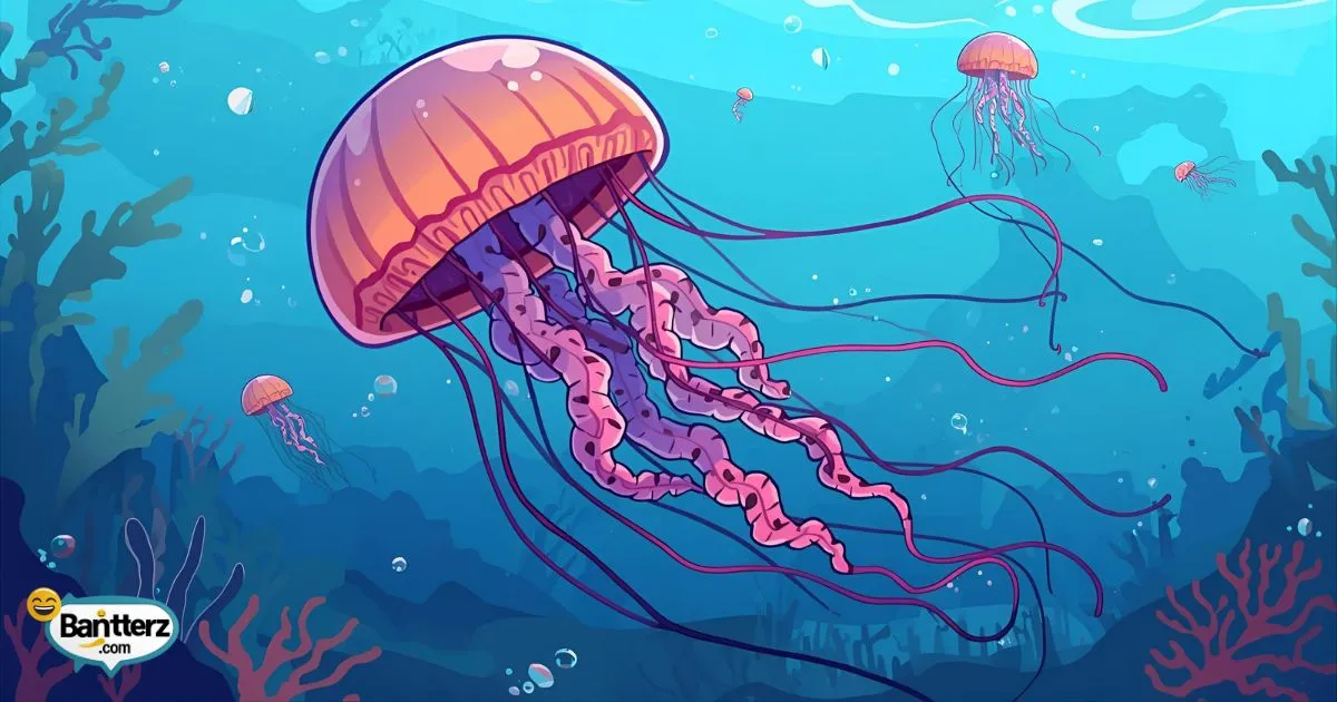 Jellyfish Puns and Jokes