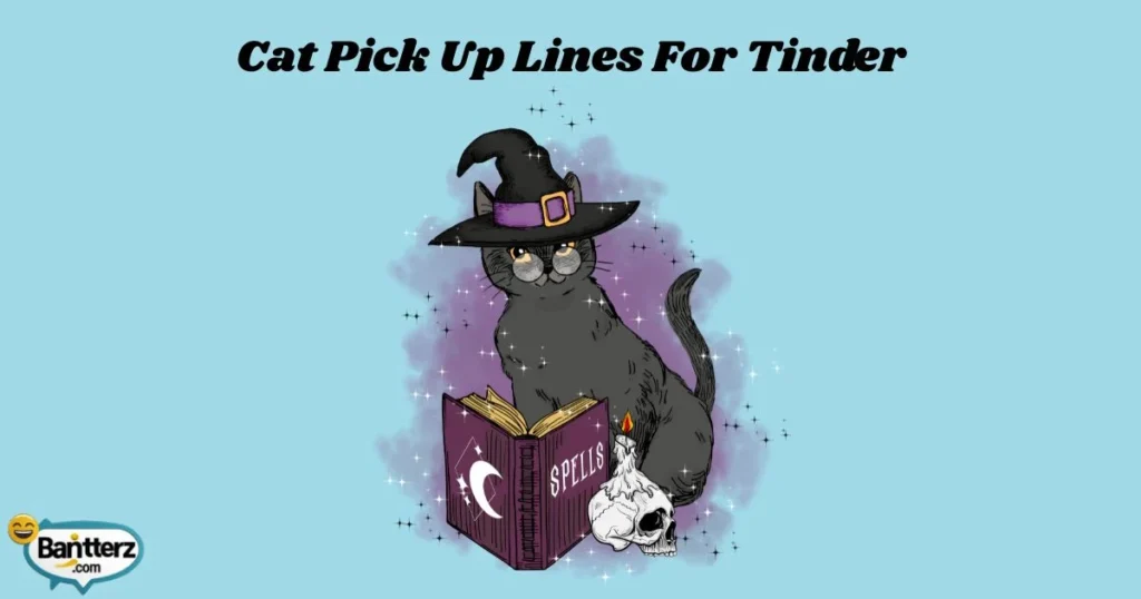 Cat Pick Up Lines For Tinder