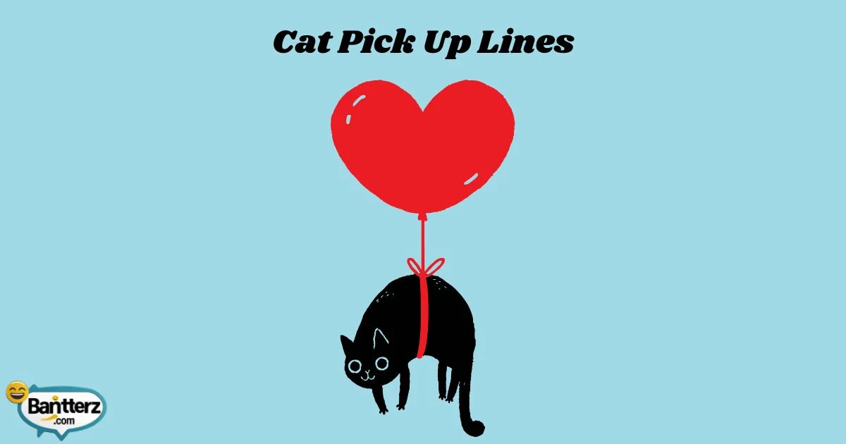 Cat Pick Up Lines