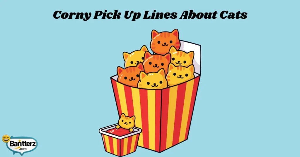 Corny Pick Up Lines About Cats